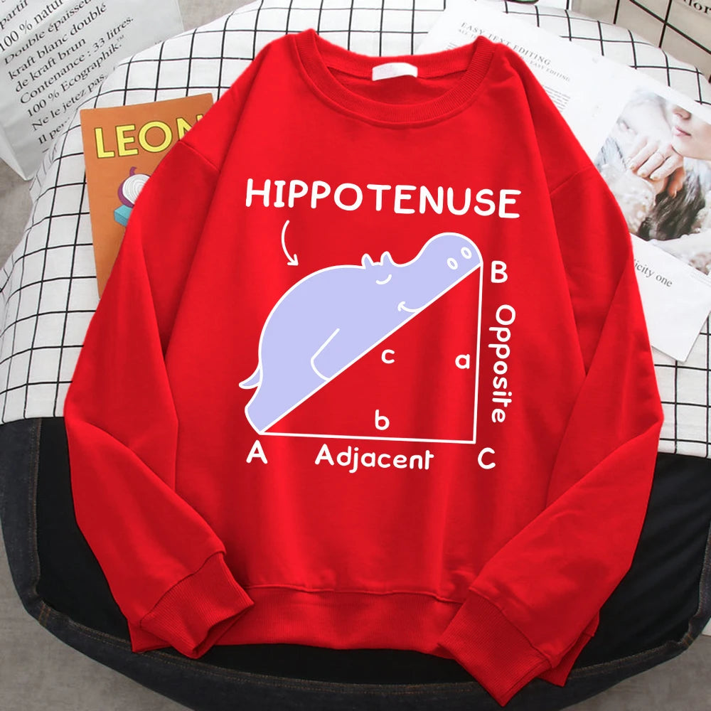 KısaKöşegen | Autumn Sweatshirt - Matematik Problemi Baskılı Hipopotamlı Kapşonlu Kadın Hoody