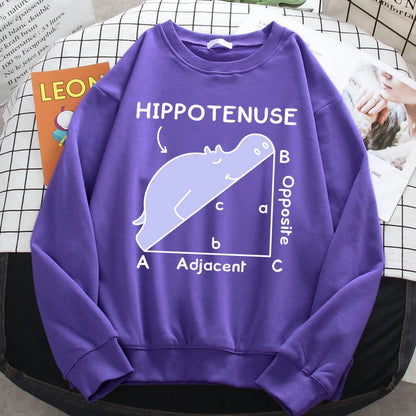 KısaKöşegen | Autumn Sweatshirt - Matematik Problemi Baskılı Hipopotamlı Kapşonlu Kadın Hoody
