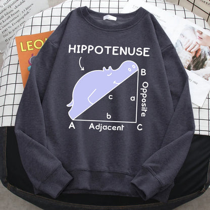 KısaKöşegen | Autumn Sweatshirt - Matematik Problemi Baskılı Hipopotamlı Kapşonlu Kadın Hoody