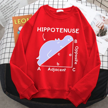 KısaKöşegen | Autumn Sweatshirt - Matematik Problemi Baskılı Hipopotamlı Kapşonlu Kadın Hoody