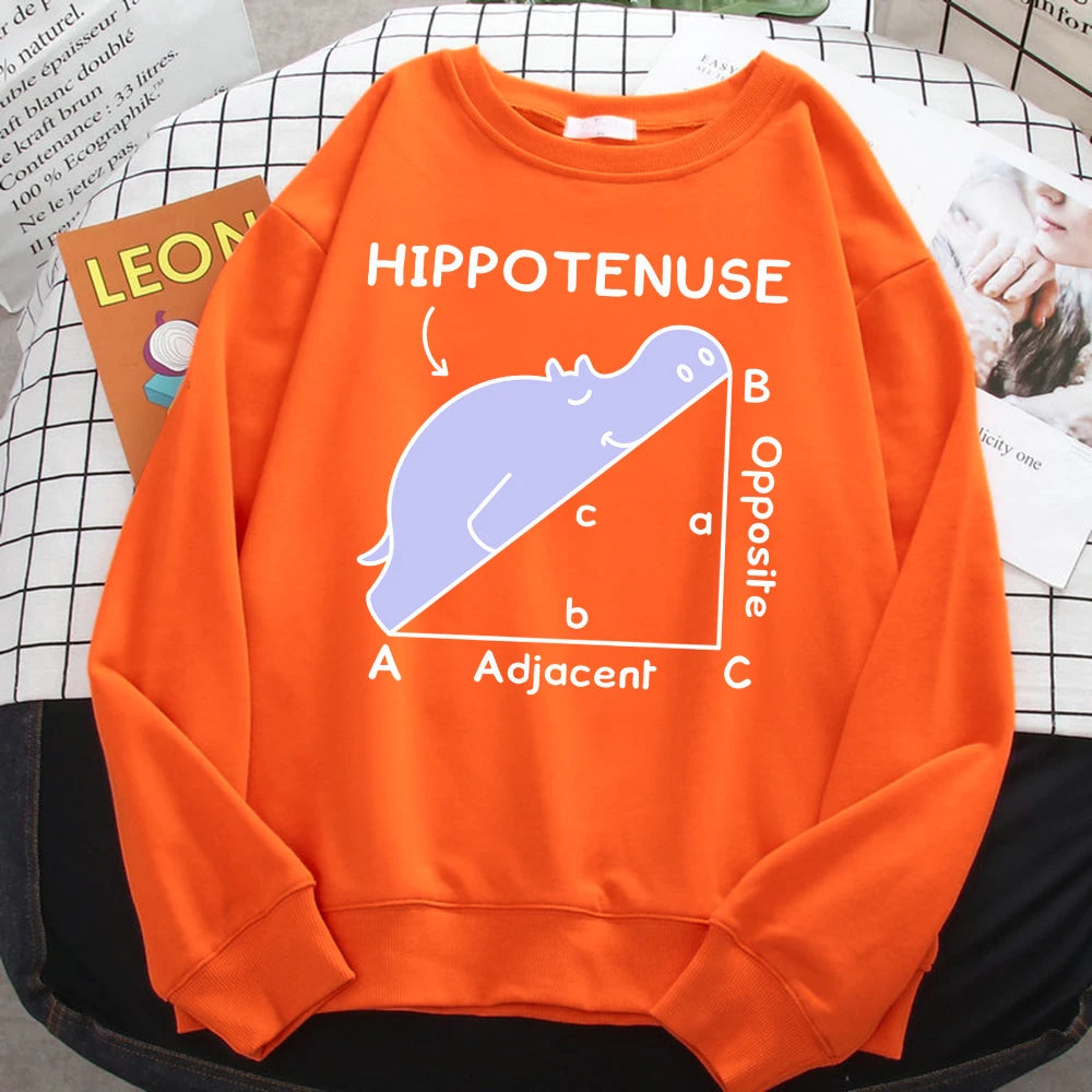 KısaKöşegen | Autumn Sweatshirt - Matematik Problemi Baskılı Hipopotamlı Kapşonlu Kadın Hoody