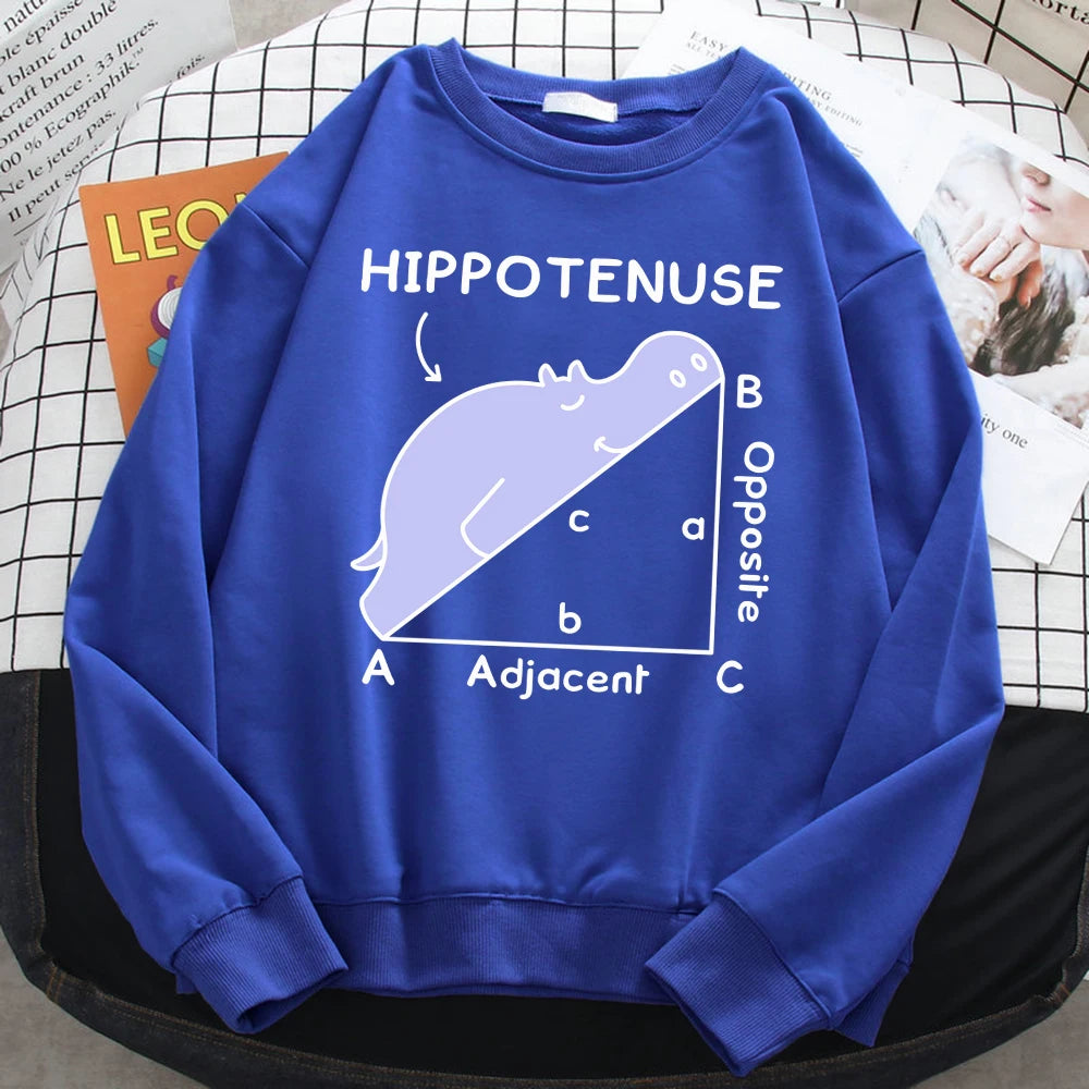 KısaKöşegen | Autumn Sweatshirt - Matematik Problemi Baskılı Hipopotamlı Kapşonlu Kadın Hoody