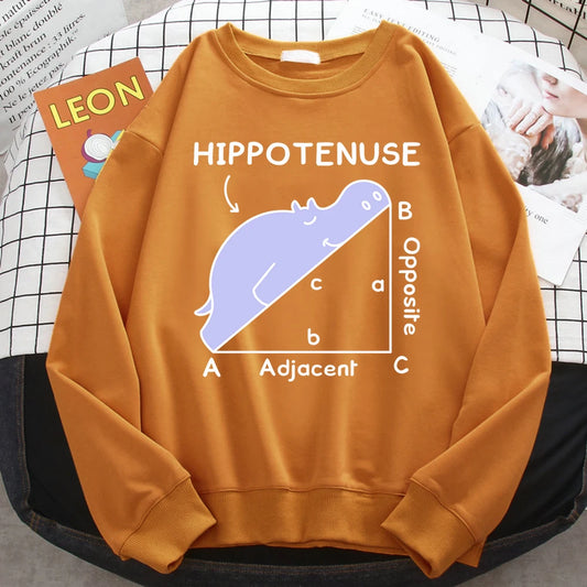 KısaKöşegen | Autumn Sweatshirt - Matematik Problemi Baskılı Hipopotamlı Kapşonlu Kadın Hoody