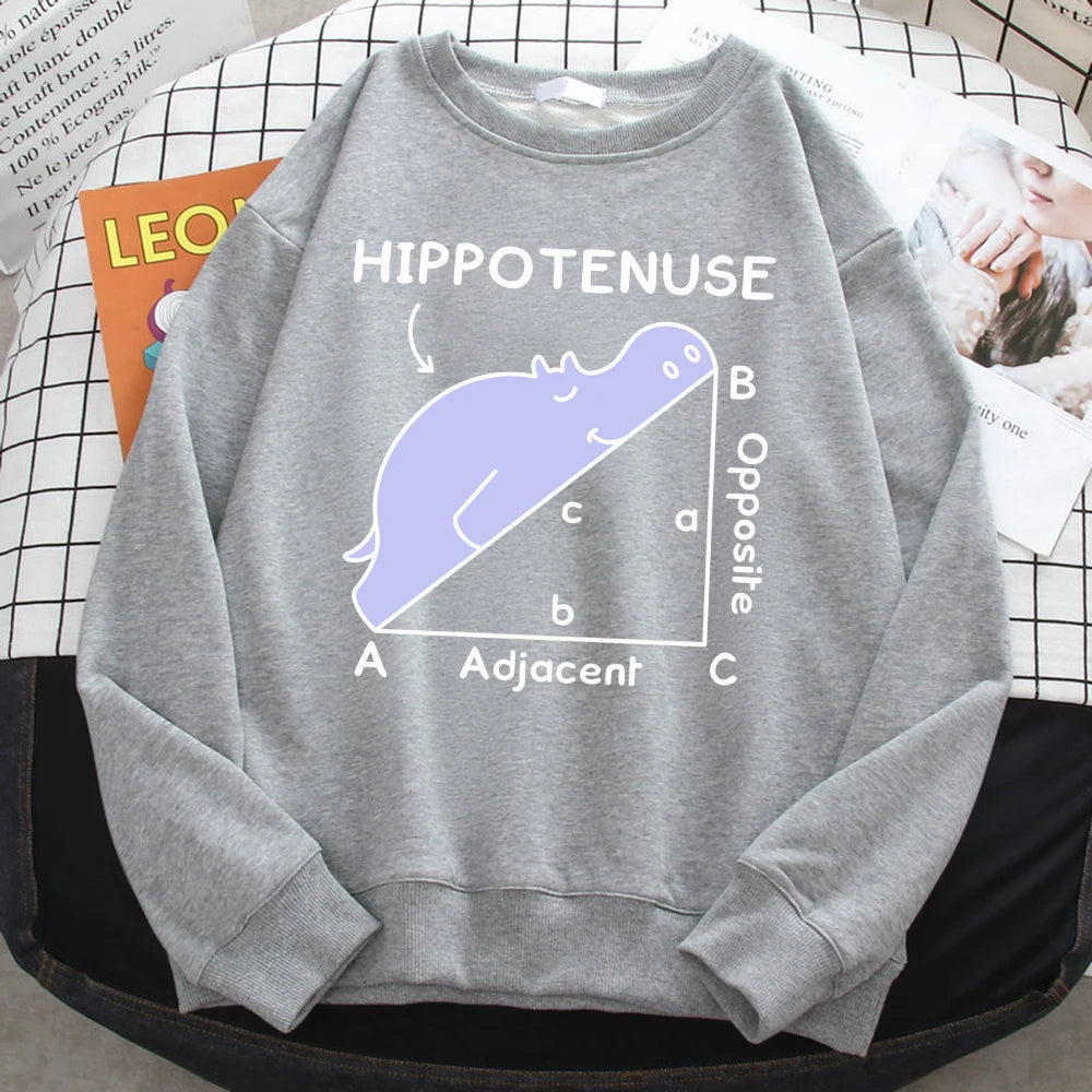 KısaKöşegen | Autumn Sweatshirt - Matematik Problemi Baskılı Hipopotamlı Kapşonlu Kadın Hoody