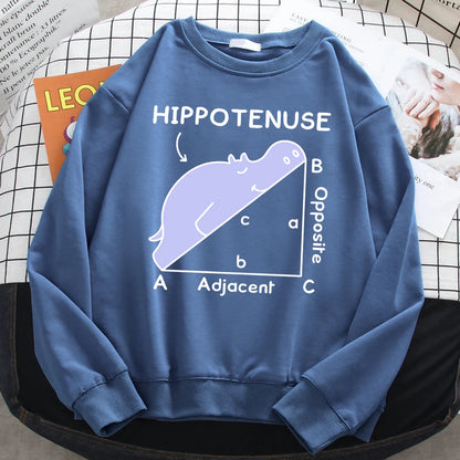 KısaKöşegen | Autumn Sweatshirt - Matematik Problemi Baskılı Hipopotamlı Kapşonlu Kadın Hoody