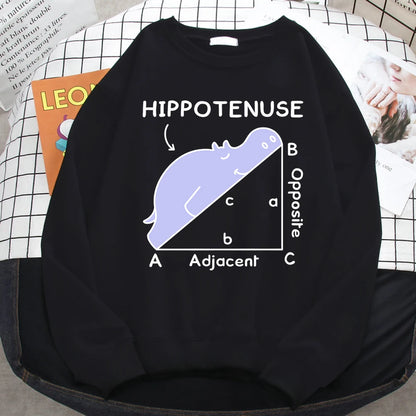 KısaKöşegen | Autumn Sweatshirt - Matematik Problemi Baskılı Hipopotamlı Kapşonlu Kadın Hoody