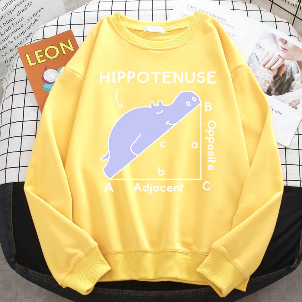 KısaKöşegen | Autumn Sweatshirt - Matematik Problemi Baskılı Hipopotamlı Kapşonlu Kadın Hoody