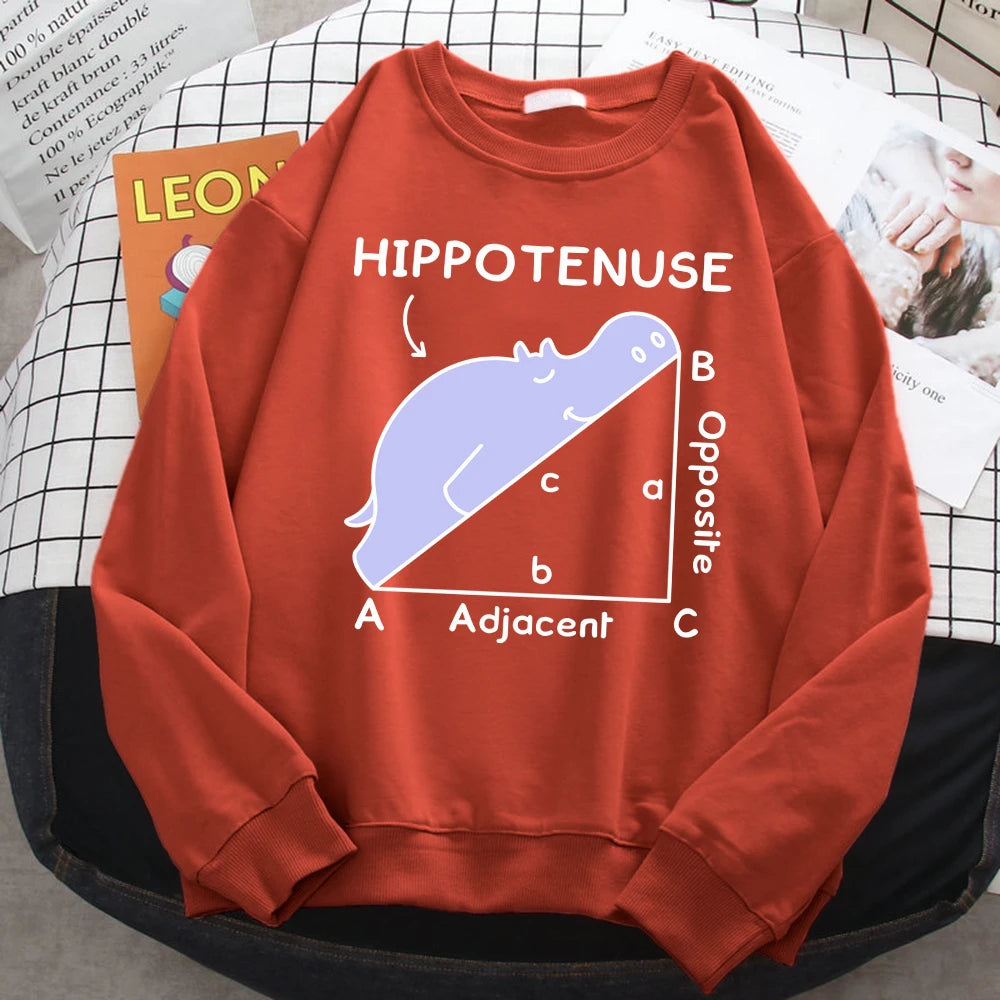 KısaKöşegen | Autumn Sweatshirt - Matematik Problemi Baskılı Hipopotamlı Kapşonlu Kadın Hoody